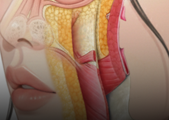 과유불급 없는 안심 볼륨